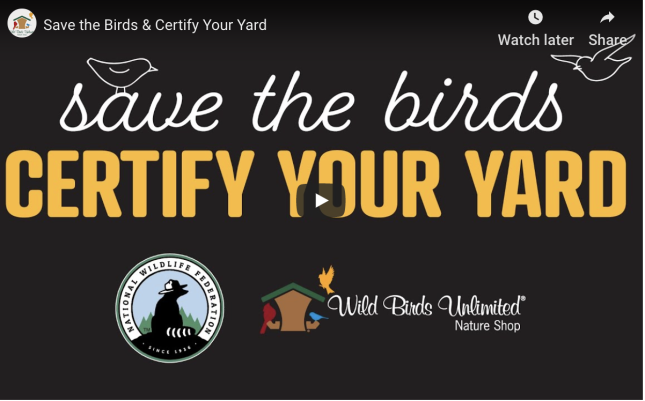 Certifying Your Yard or Garden as a Wildlife Habitat